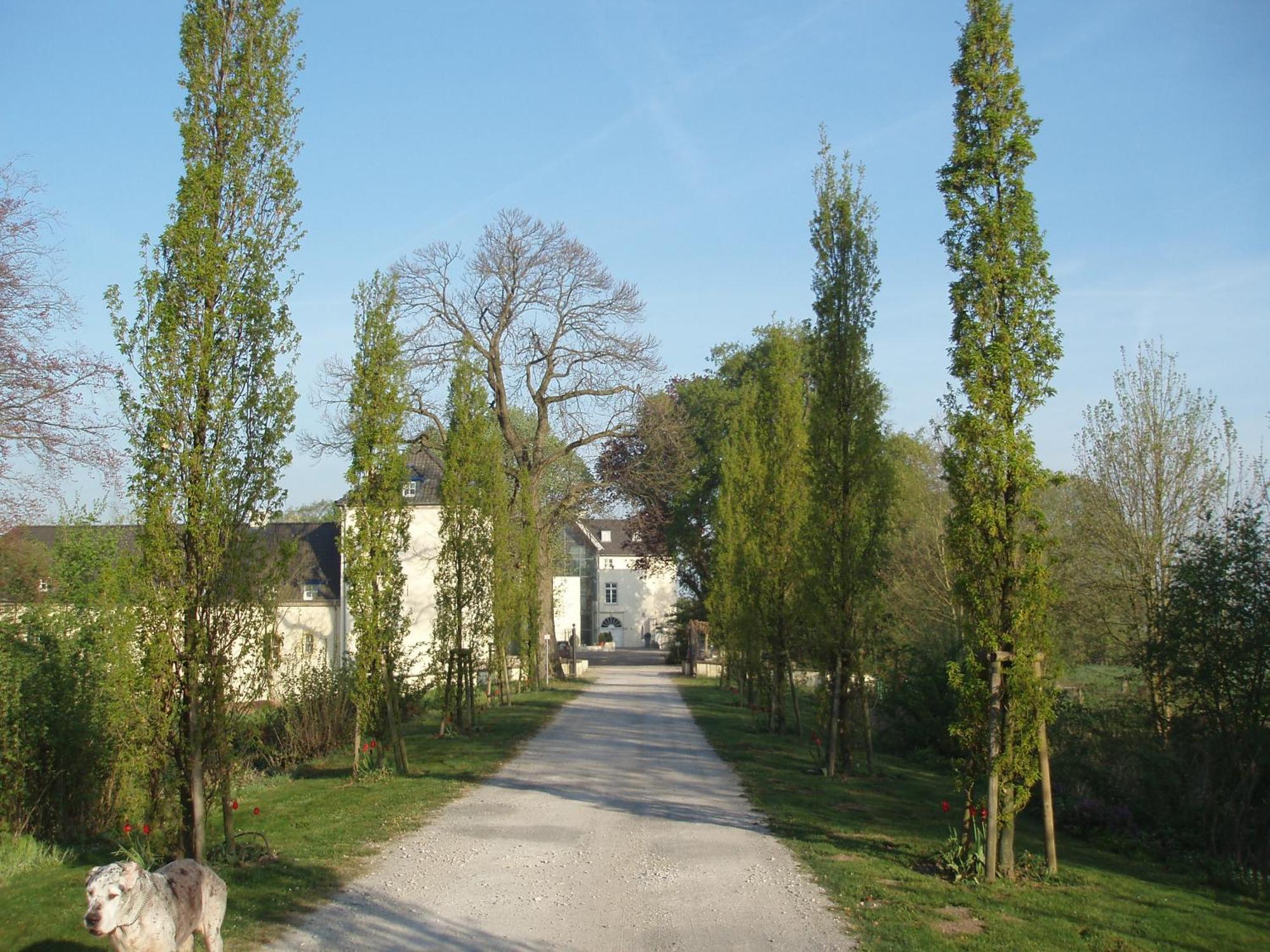 Hotel Burg Boetzelaer Kalkar Exterior foto